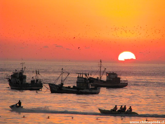 Playa Cavancha de Iquique