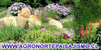 Agronorte Paisajismo