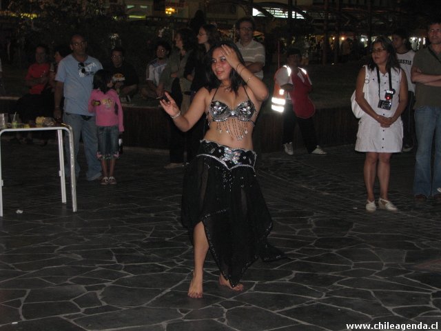 Colectividades Extranjeras 2009