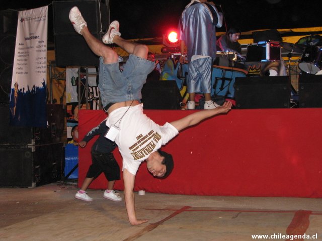 Chile + Cultura 2008