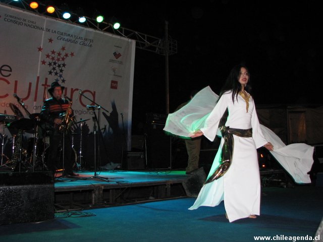 Chile + Cultura 2008