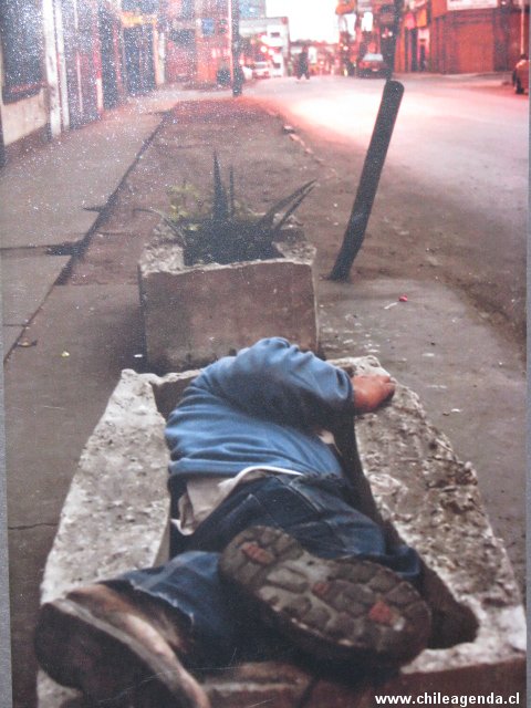 Chile + Cultura 2008