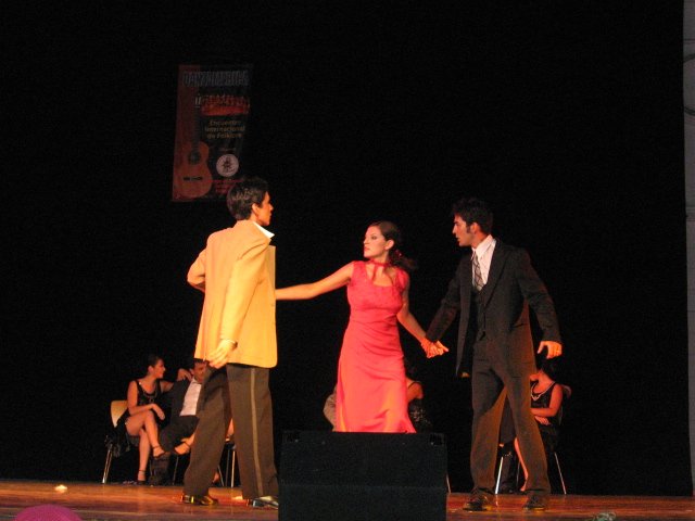 Danzamerica 2008