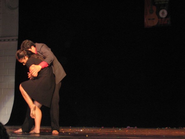 Danzamerica 2008