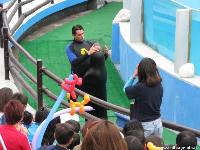 Show de los Lobos