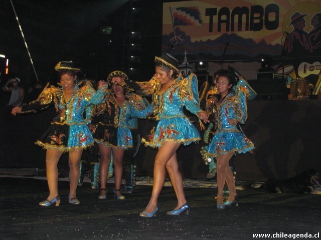 Tambo Andino 2011