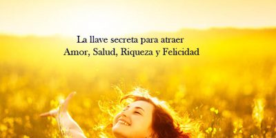 Taller Abundancia