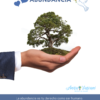 Activar la consciencia de Abundancia