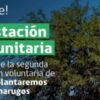 Forestación Comunitaria