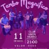 Tambo Magnifico